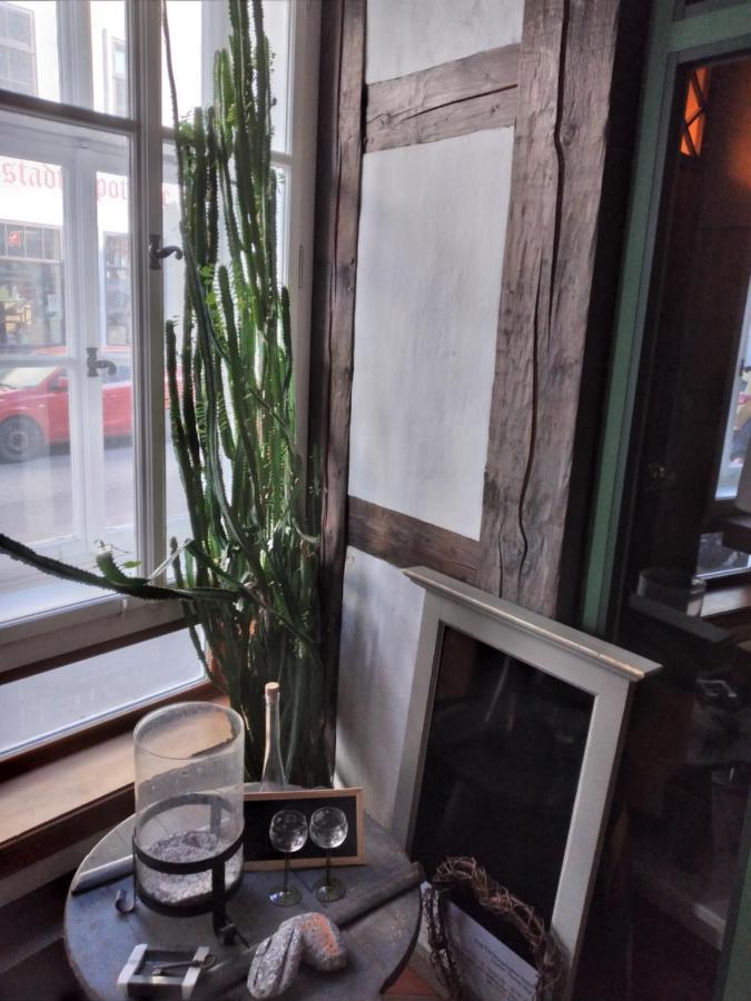 Historische Raume Uber Mittelaltergewolbe Mit Terrasse Apartment Erfurt Luaran gambar