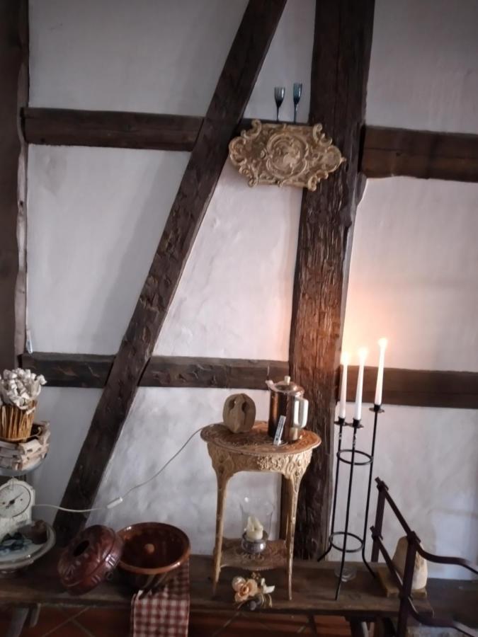 Historische Raume Uber Mittelaltergewolbe Mit Terrasse Apartment Erfurt Luaran gambar